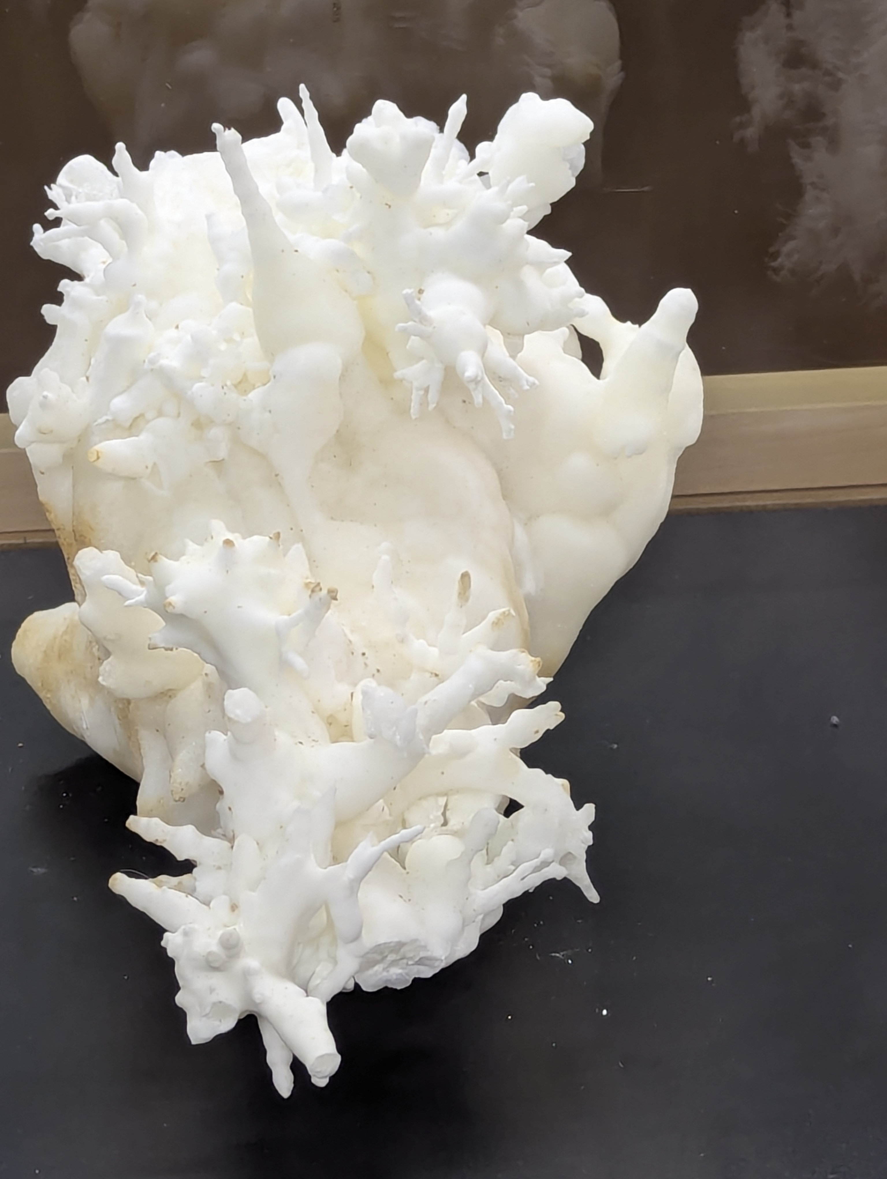 Colorado School of Mines, Geology Museum